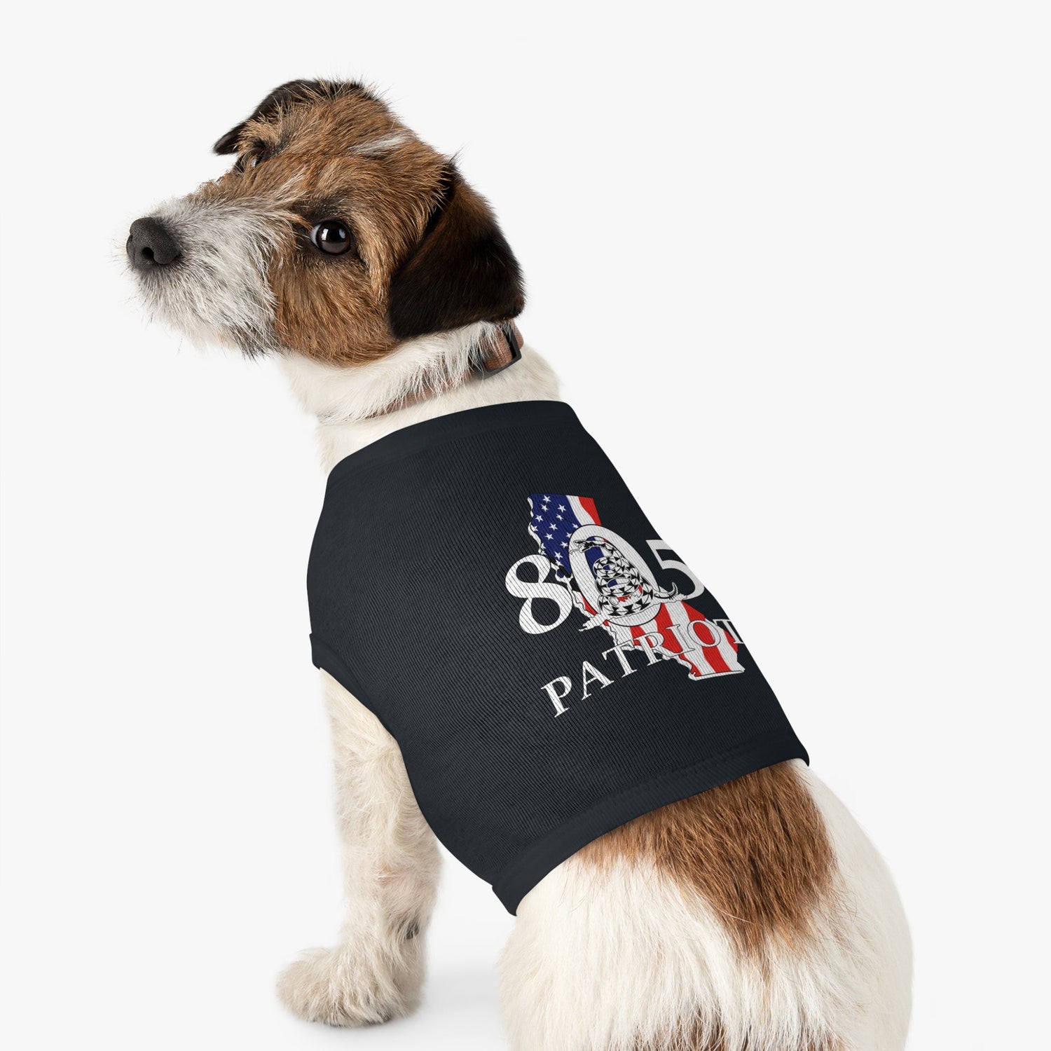 6. Pets