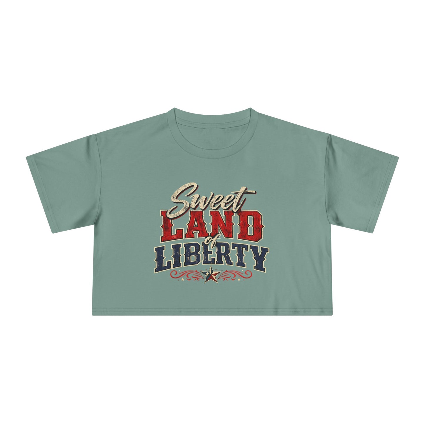 Sweet Land of Liberty Crop Top